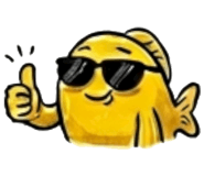 856907470