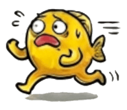 856907480