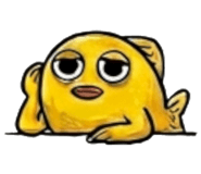 856907484