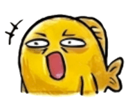 856907492