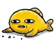 856907502