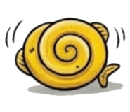 856907503