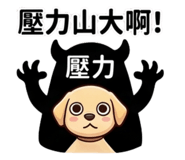 856907980
