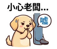 856908001