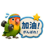 856910262