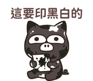 856910382