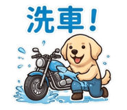 856910483