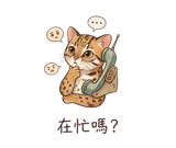 856911036