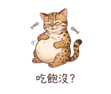 856911037