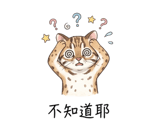 856911067