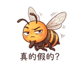 856911224