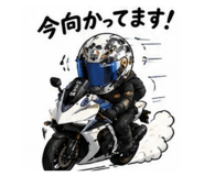 856911516