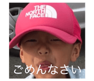 856911764