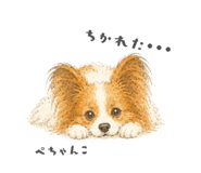 856911831