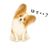 856911832