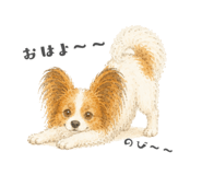 856911833