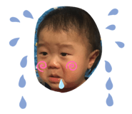856912018