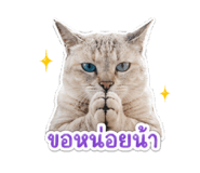 856912484
