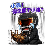 856912553