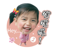 85691314