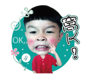 85691316
