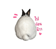 856913428