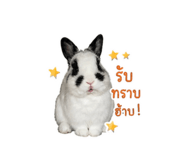 856913434