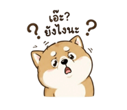 856913476