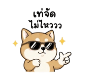 856913479