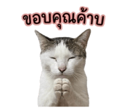 856913482