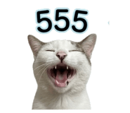 856913485