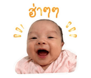 856913800