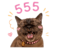 856913866