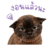 856913870