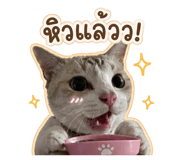 856914138