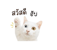 856914473