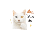 856914475