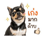 856915115