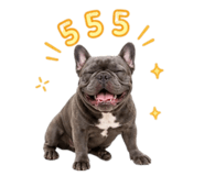 856915290