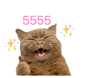 856916146