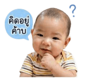 856916557