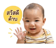 856916575