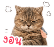 856916601