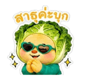 856917611
