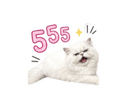 856917745