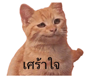856918439
