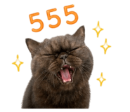856918869