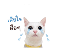 856918909