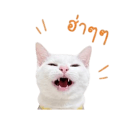 856918910