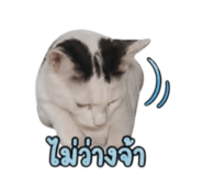 856920038